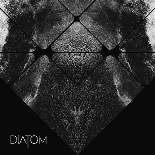 Diatom