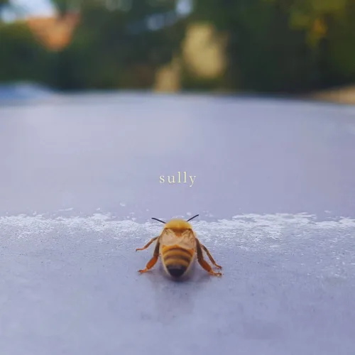 Die, July
