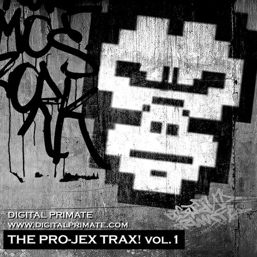 Digital Primate