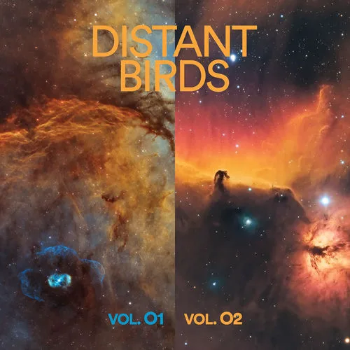 Distant Birds