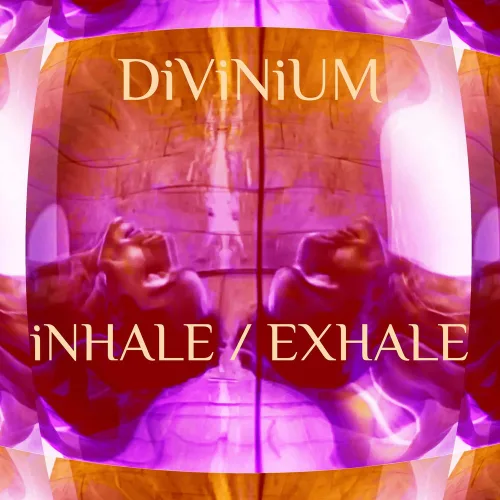 DiViNiUM
