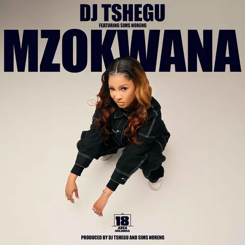DJ Tshegu