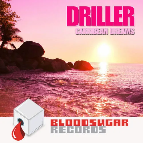 DRILLER