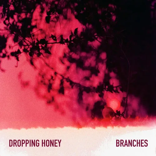 Dropping Honey