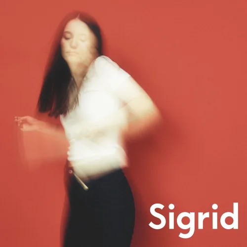DSFGR