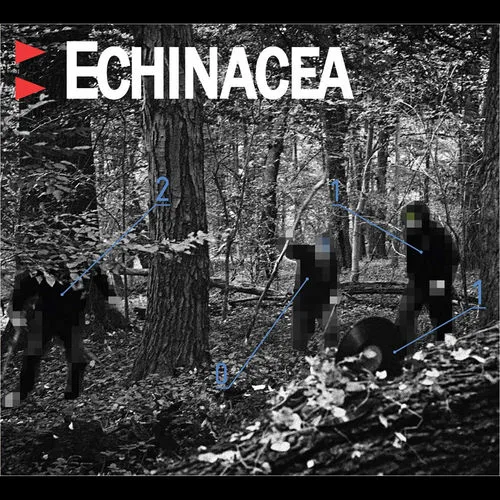 Echidnacia