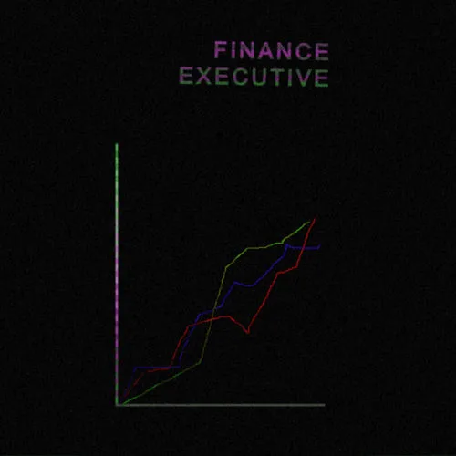 Finance Executive