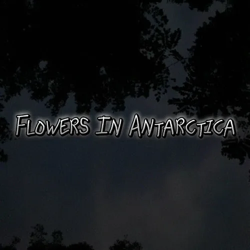 Flowers in Antarctica