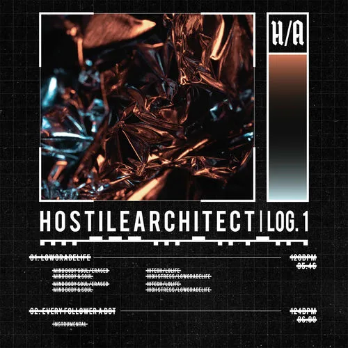HOSTILE ARCHITECT