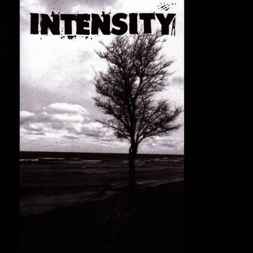 Intensity