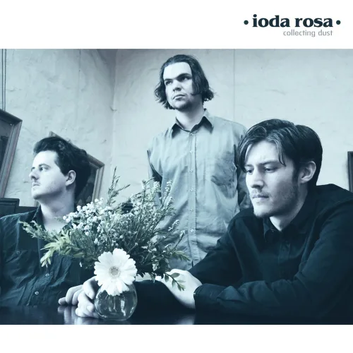 Ioda Rosa