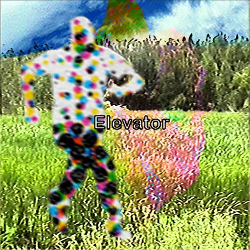 LEEVAI