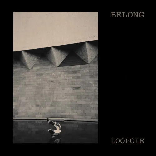 Loopole