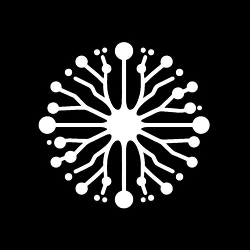 LOST SIGNAL
