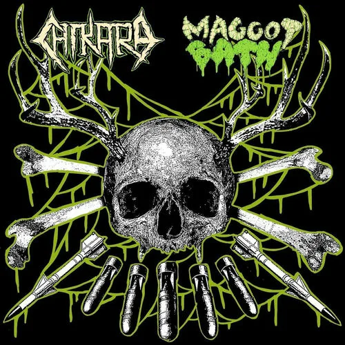 Maggot Bath