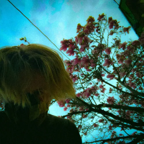 Marlowe Wilton