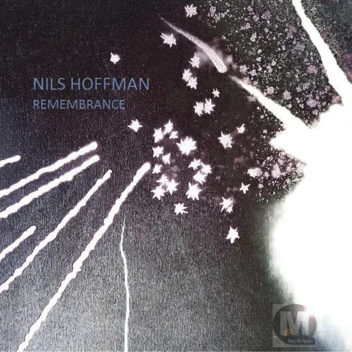 nils hoffman (anjunadeep)