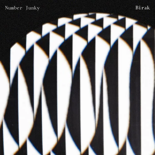 Number Junky - Album Launch