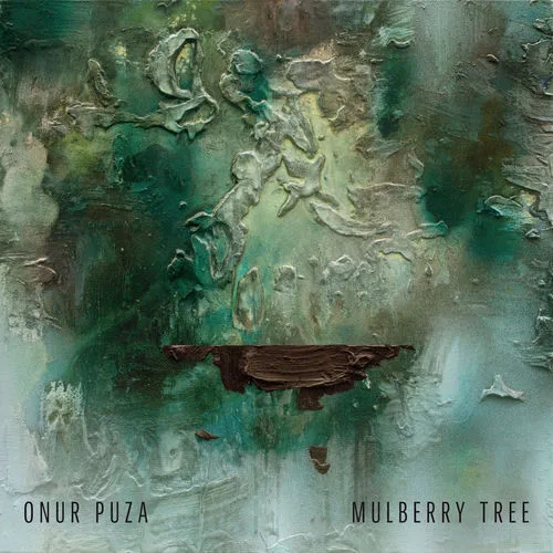 Onur Puza