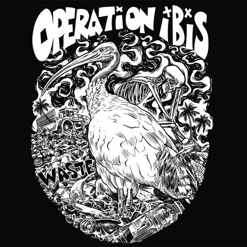 OPERATION IBIS