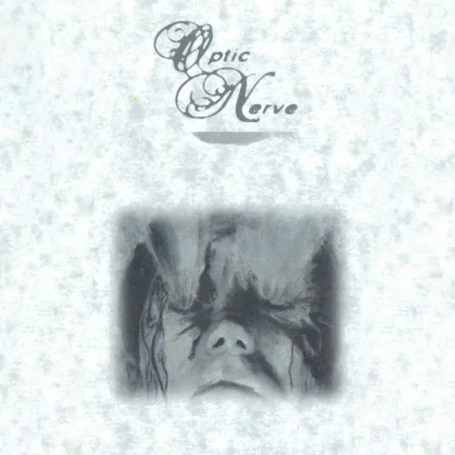 Optic Nerve