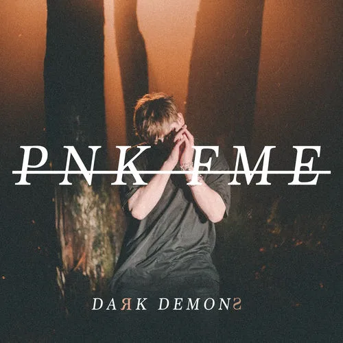 PNK FME