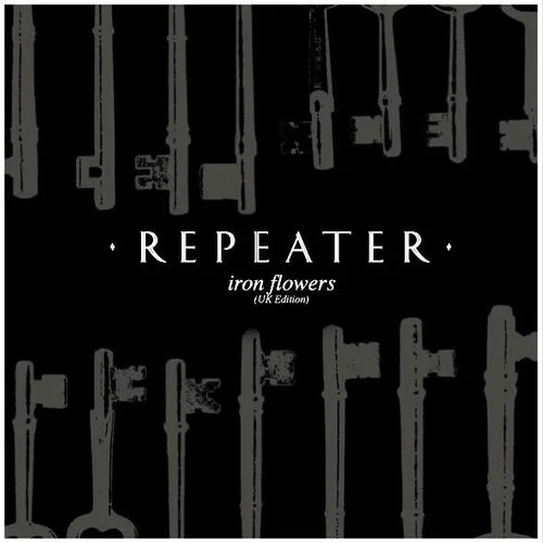 Repeater