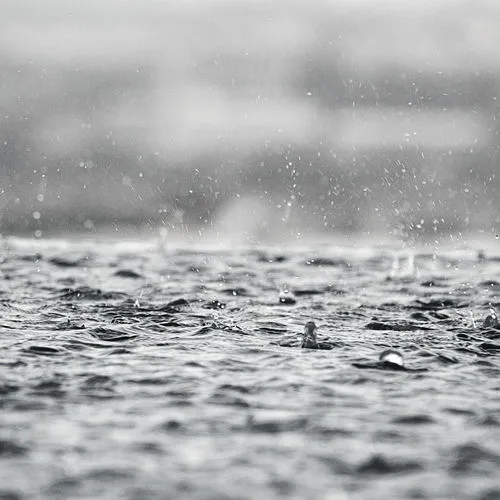 Singin' in the Rain