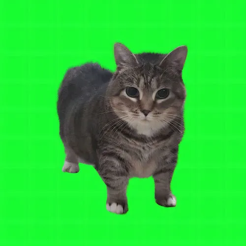 Spinning Man