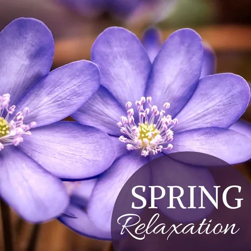 Spring Awakening
