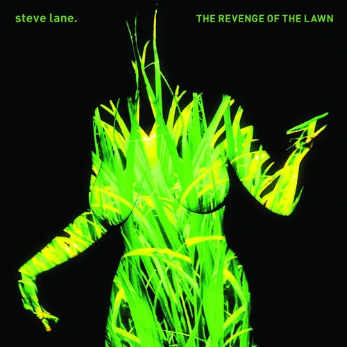 Steve Lane