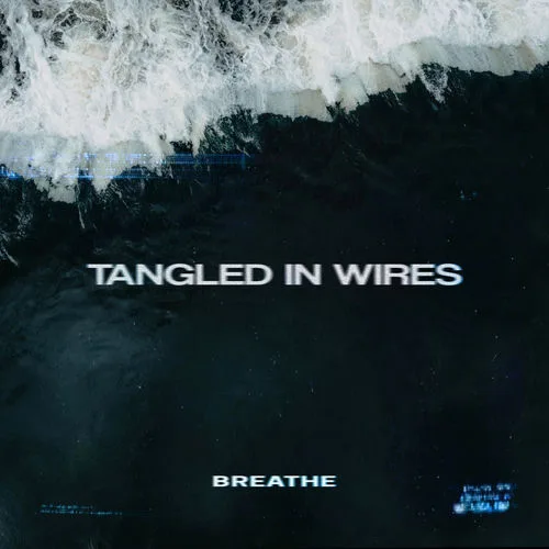 Tangled In Wires