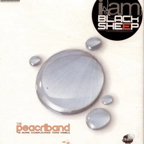The 4 Peace Band