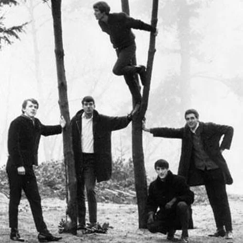 The Aveonics