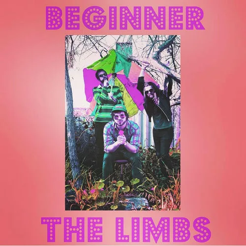 The LIMBS