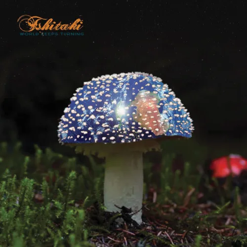 tshitaki