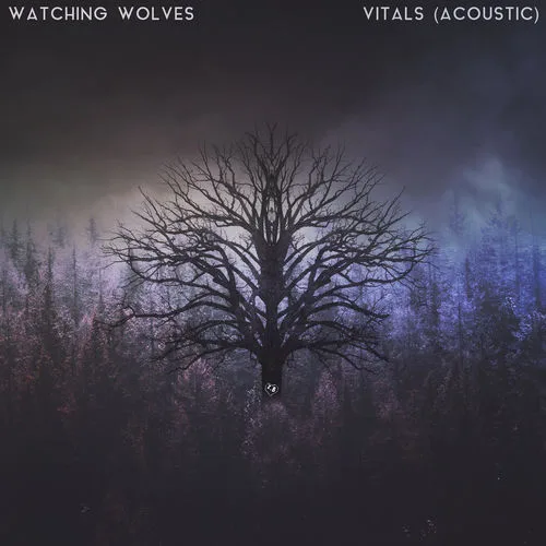 Watching Wolves