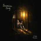 Gabe Levin 'Sunshine Song' Single Launch