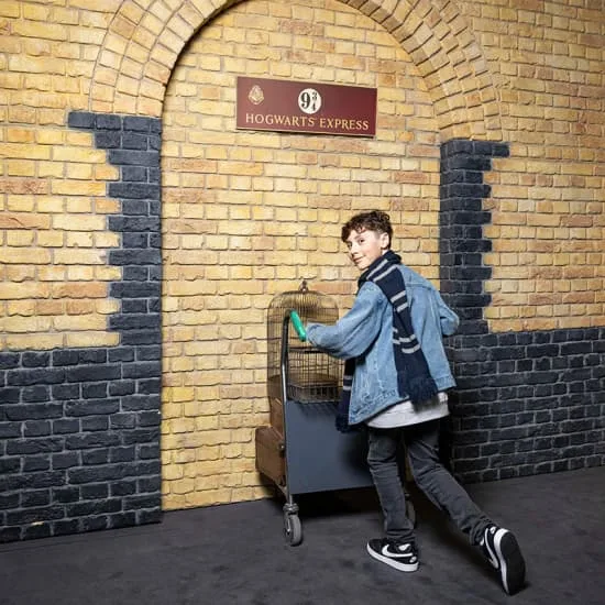 Harry Potter™: The Exhibition