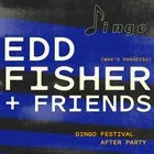 Dingo Afterparty @ Paradiso - Edd Fisher & Friends