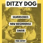 ALL AGES SHOW @ LA'S w/ Ditzy Dog // Silversonics // New Beginnings // Daisie | FREE ENTRY