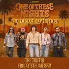 ONE OF THESE NIGHTS THE EAGLES EXPERIENCE