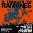 A Tribute to Ramones