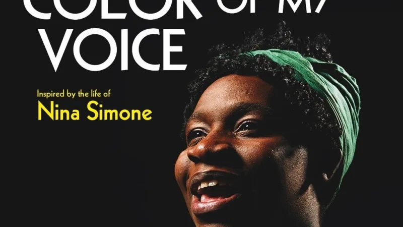 Black Is The Color Of My Voice