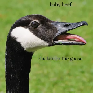 Chicken Or The Goose