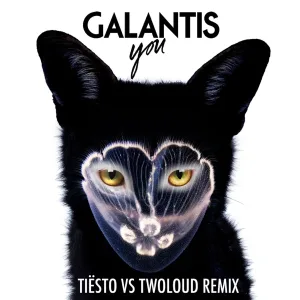 You (Tiësto vs twoloud radio edit)