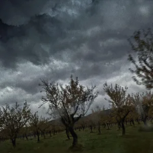 I found hills in Hell