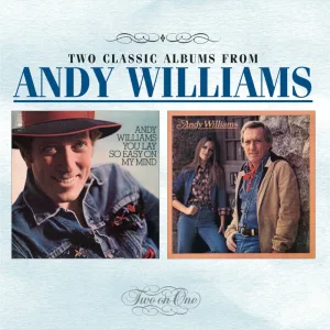 Another Lonely Song