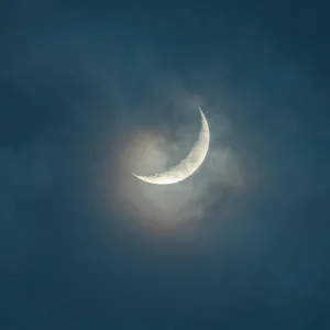 EchoWave Original Music - عيدكم مبارك
