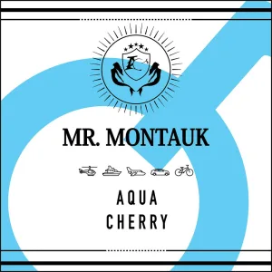 Mr Montauk